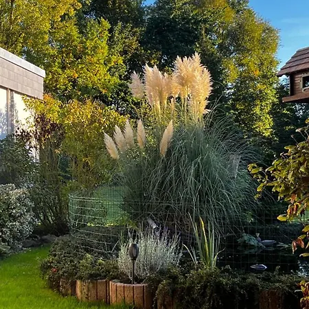 Riesen Duederode Kalefeld